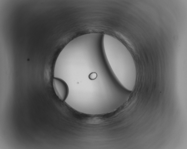 X0000102300451200807251024