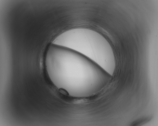 X0000102300452200807251024
