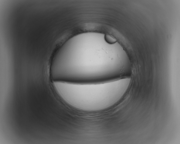 X0000102300454200807251024