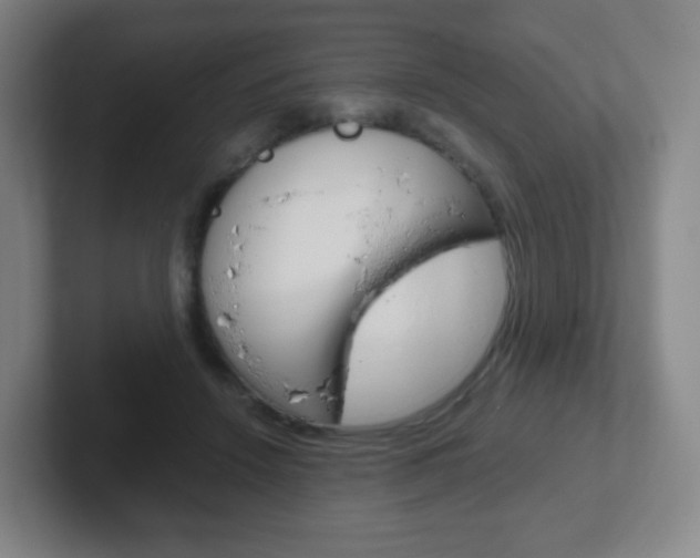 X0000102300456200807251024