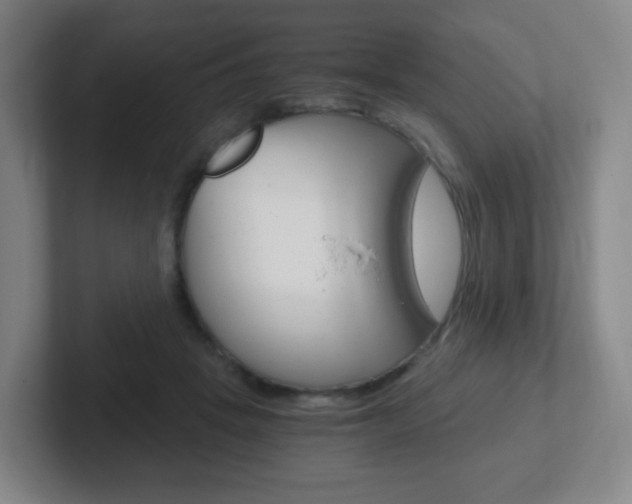 X0000102300457200807251024