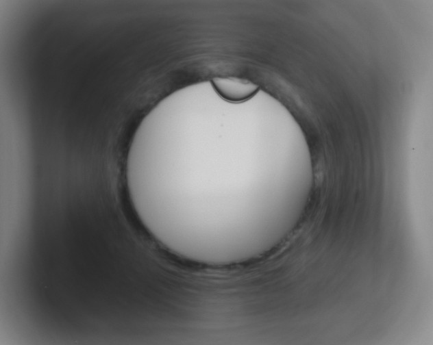 X0000102300464200807251024