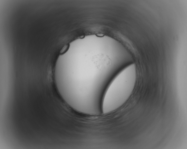 X0000102300465200807251024