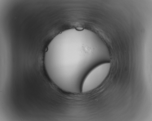 X0000102300466200807251024
