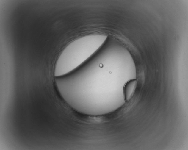 X0000102300469200807251024