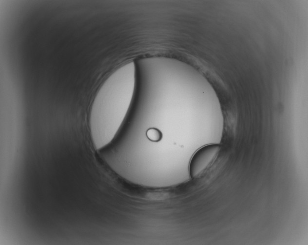 X0000102300470200807251024
