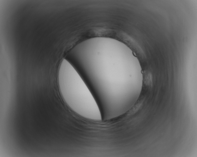 X0000102300471200807251024