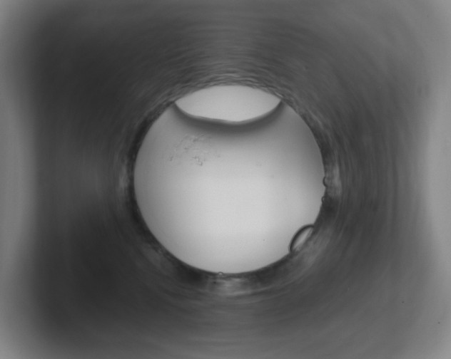 X0000102300472200807251025