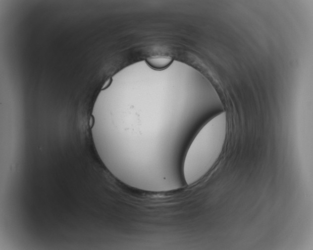 X0000102300473200807251025