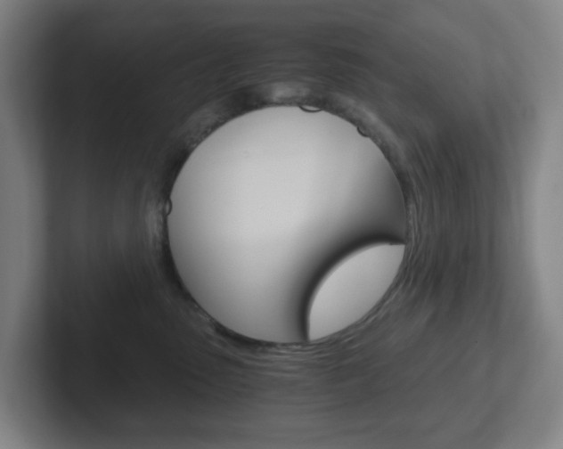 X0000102300475200807251025