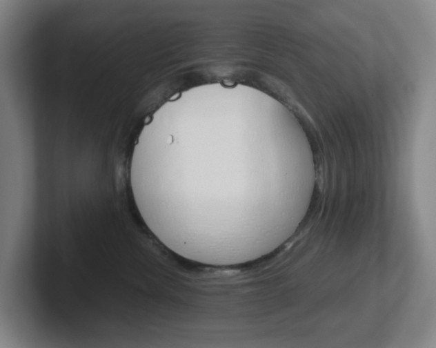 X0000102300476200807251025