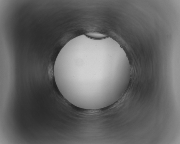 X0000102300479200807251025
