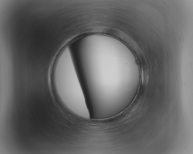 X0000102300483200807251024