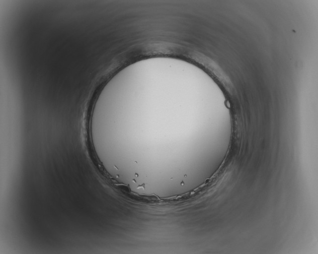 X0000102300489200807251024