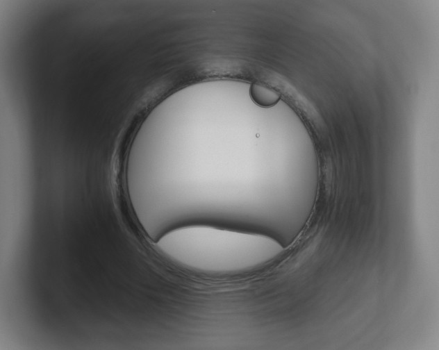 X0000102300490200807251024