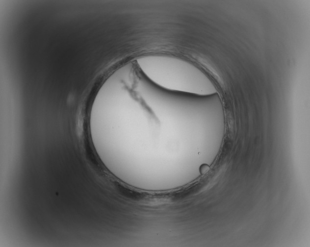 X0000102300491200807251024