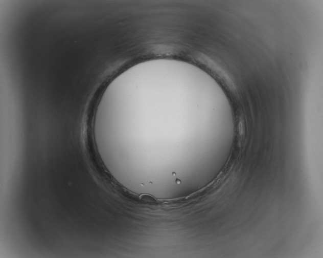 X0000102300492200807251024