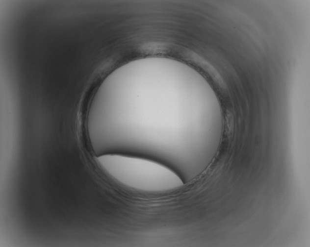 X0000102300494200807251024