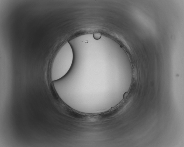 X0000102300495200807251024