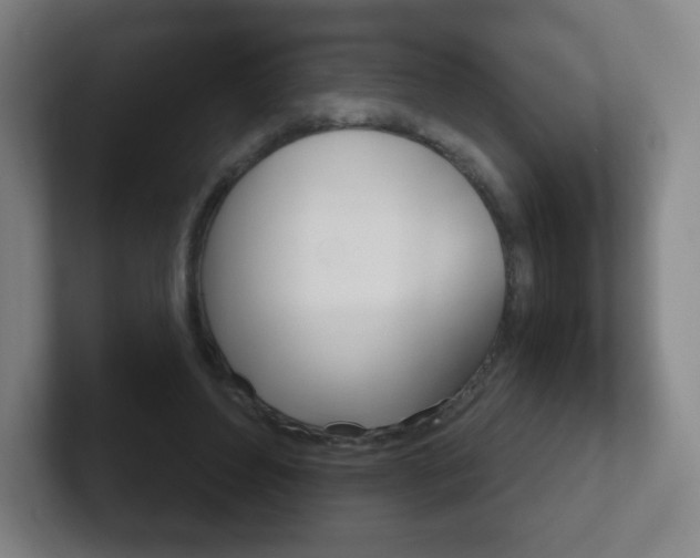 X0000102300496200807251024