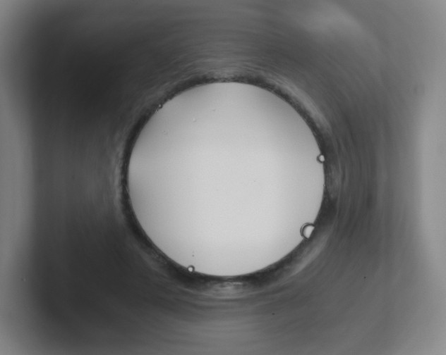 X0000102300497200807251024