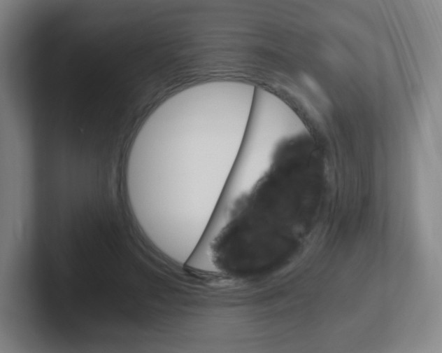 X0000102300499200807251024