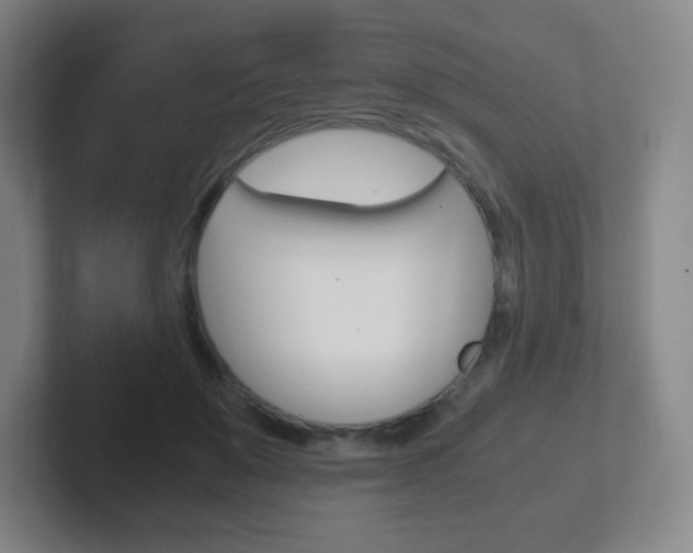 X0000102300503200807251024