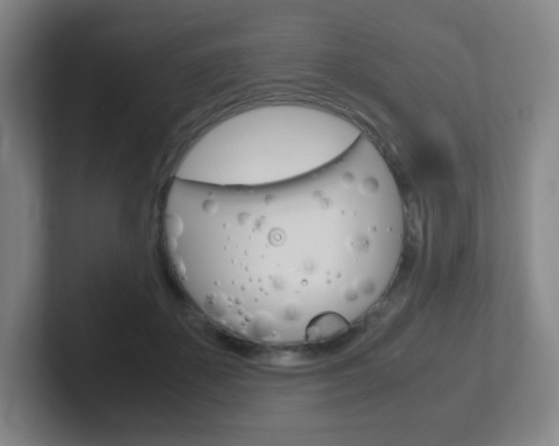 X0000102300507200807251024