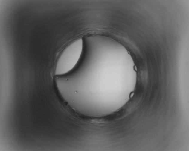 X0000102300508200807251024