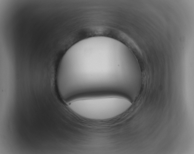 X0000102300509200807251024