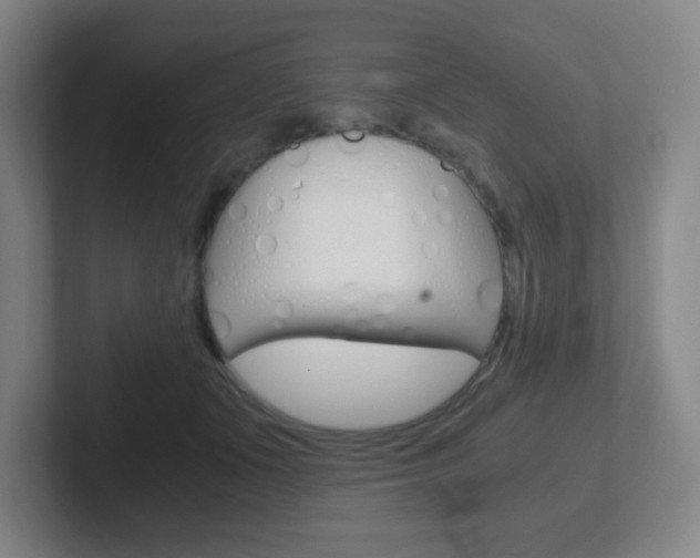 X0000102300511200807251024