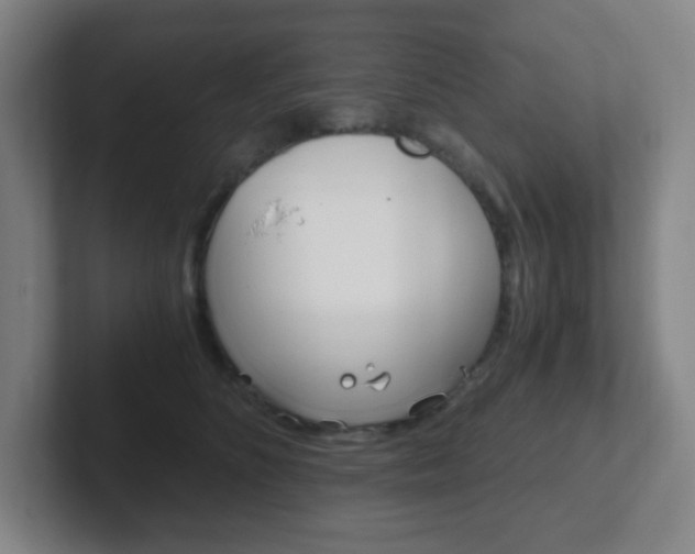 X0000102300516200807251024