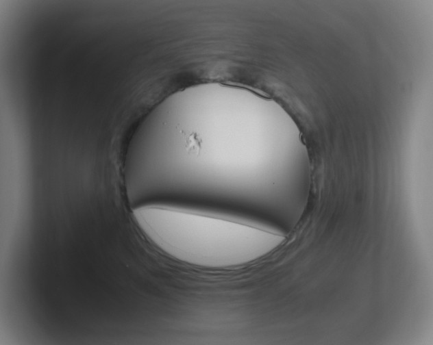 X0000102300521200807251023