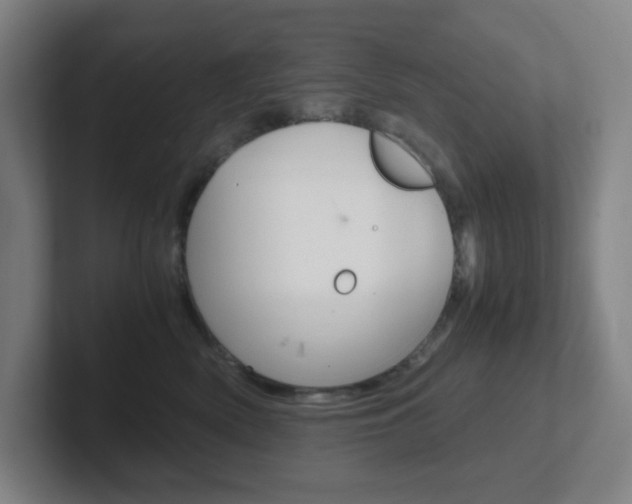 X0000102300522200807251023