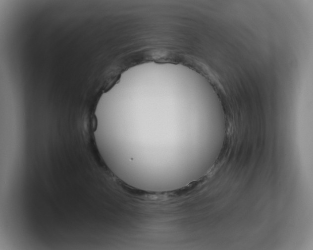 X0000102300524200807251023