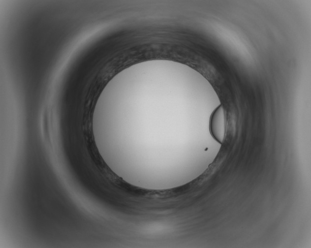 X0000102300526200807251023