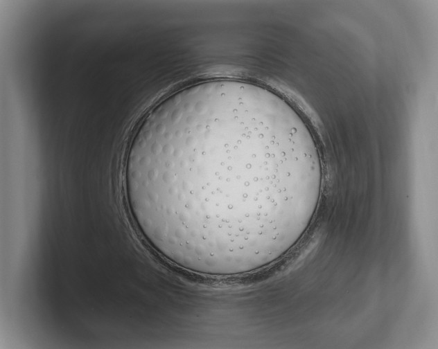 X0000102300529200807251023