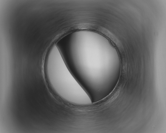 X0000102300530200807251023