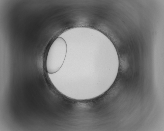 X0000102300534200807251023