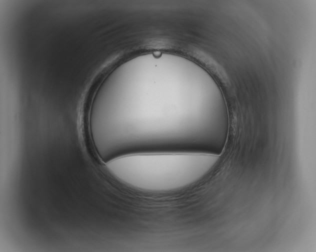 X0000102300535200807251023