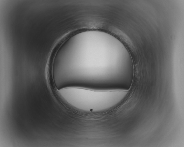 X0000102300536200807251023
