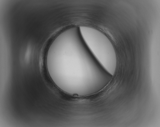 X0000102300539200807251023