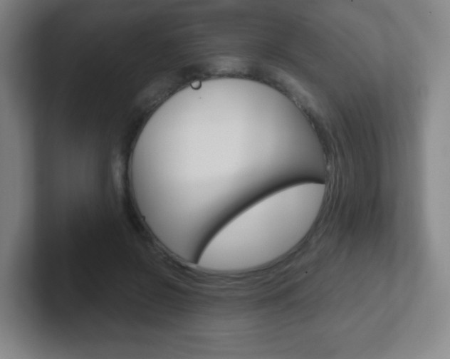 X0000102300550200807251023