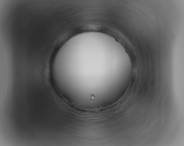 X0000102300552200807251023