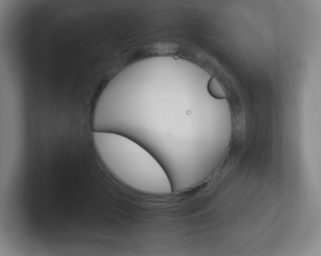 X0000102300553200807251023