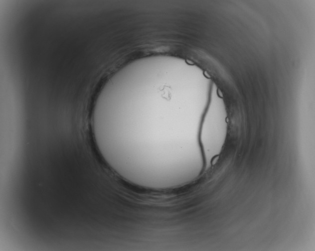 X0000102300555200807251023