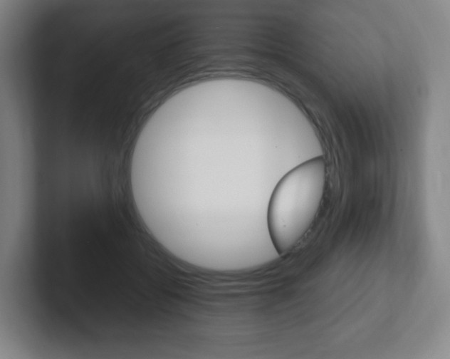 X0000102300556200807251023