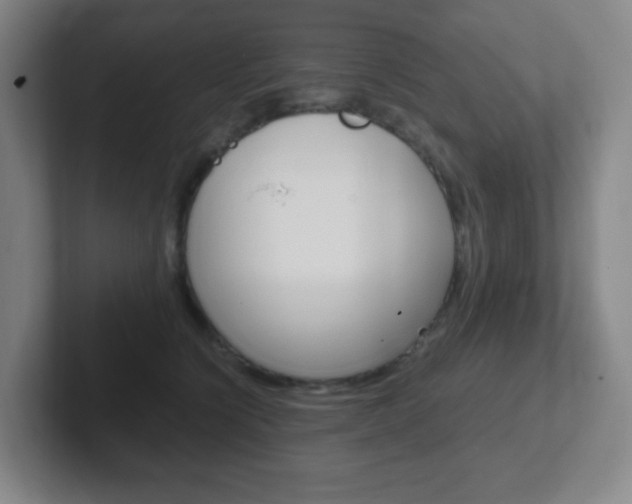 X0000102300564200807251023