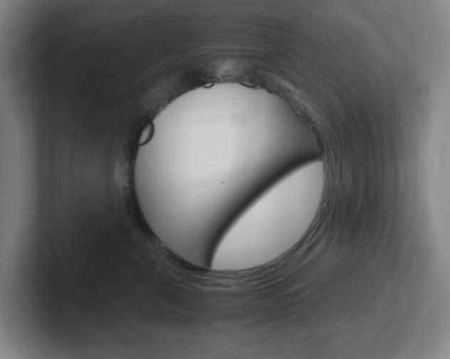X0000102300571200807251023
