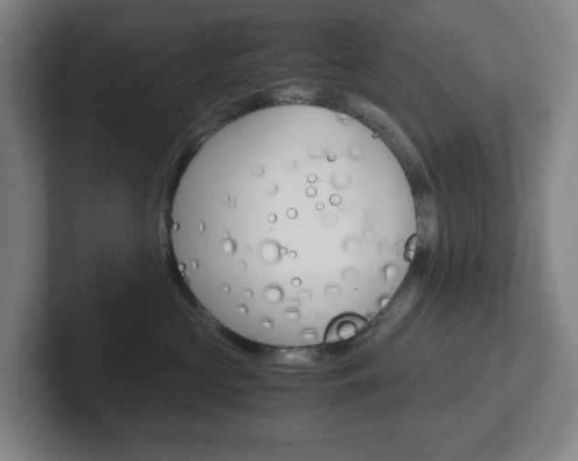 X0000102300573200807251023